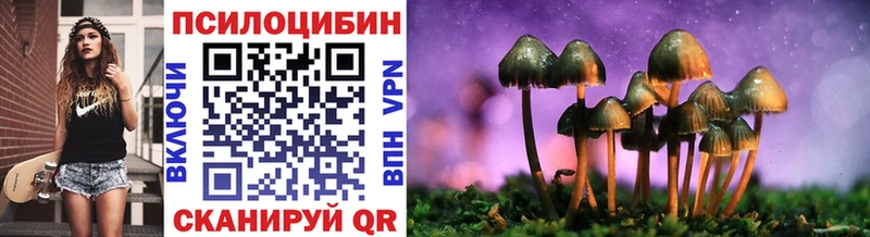 Псилоцибиновые грибы Psilocybine cubensis  Калтан 